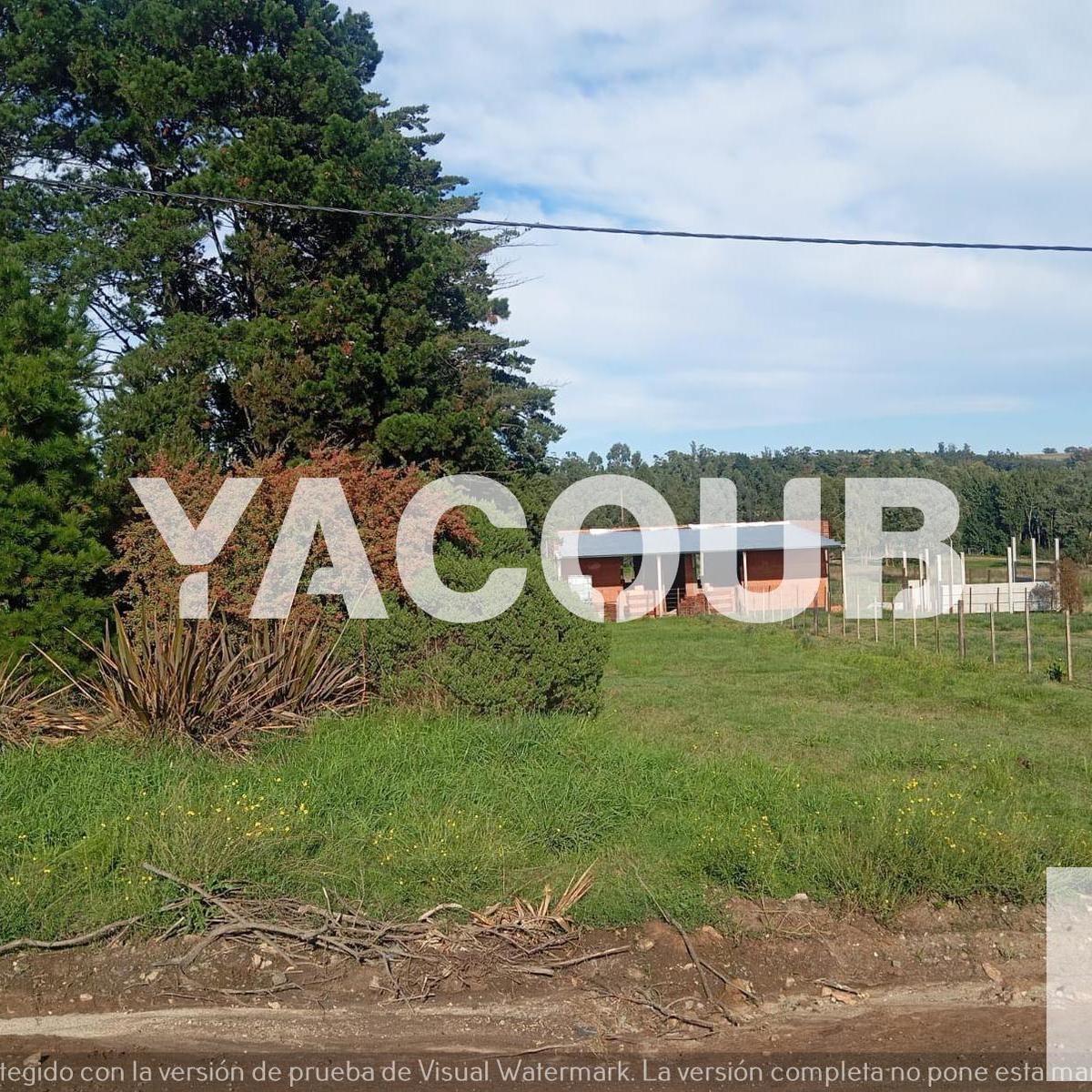 Terreno en venta ubicado sobre calle Cima y Alighieri