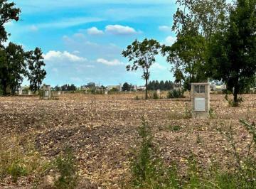 Terreno · 839m² · Terreno en Venta La Alameda Etapa III Canning