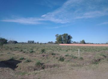 Terreno · 1028m² · Venta Terreno Escriturado