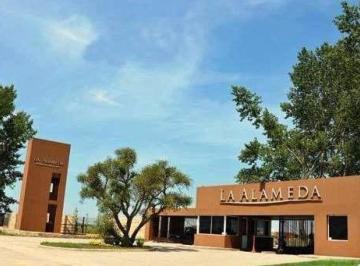 Terreno · 800m² · Terreno en Venta - 800 m² - La Alameda, Canning