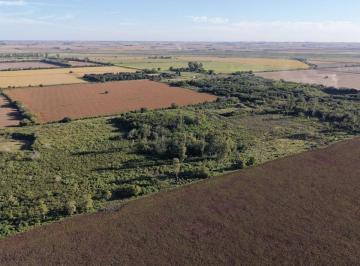 Campo · 3ha · Campo en Gessler 2,5 Ha