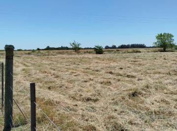 Terreno , San Vicente · Terrenos 1000 m² en San Vicente - Zona El Pampero