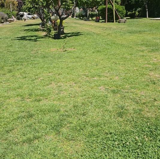 Local comercial · 342m²