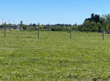 Terreno · 400m² · Terreno en Bella Vista