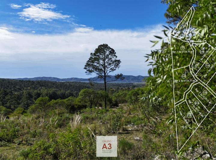 Terreno · 10129m²