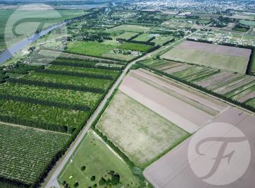 Terreno · 42739m² · Alquiler de Parcela Productiva 4.5 Ha Sobre Pavimento I 15 Quintales por Hectárea