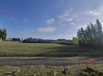 Terreno · 954m² · Lote en Venta en Los Juncos