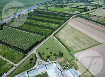 Terreno · 42739m² · Fracción en Alquiler de 4.5ha en San Pedro I Apta Para Usos Múltiples I Sobre Lucio Mansilla