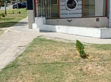 Local comercial · 37m² · Local en Venta - 1 Baño - Centro