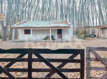 Casa · 158m² · 5 Ambientes · Casa en Alquiler Plottier Zona Chacra Finca Ambor