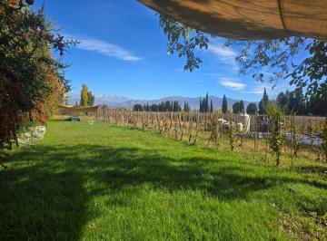 Campo · 240ha · 6 Ambientes · Finca