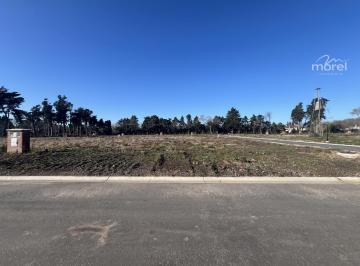 Foto Principal · Lote en Venta Barrio La Estela Al Lado de Martindale Terreno