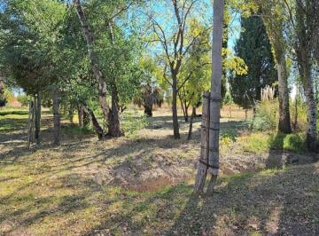 Campo · 170m² · 3 Dormitorios · 1 Cochera · Vendo Finca San Rafael