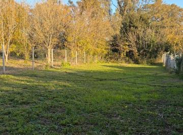 Terreno · 500m² · Lote en Venta. Villa Elisa