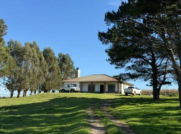 Campo , Mar Chiquita · Excelente Fracción de Campo Ubicada en Mar Chiquita, Provincia de Buenos Aires, Sobre Ruta