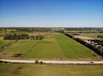LGP-LGP-12_2 · Venta Campo Ruta 34