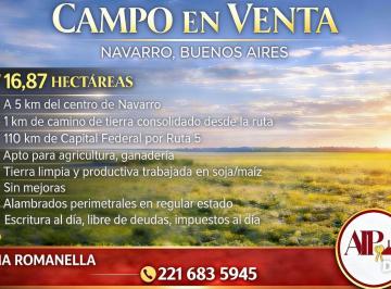 Campo · Campo - Navarro