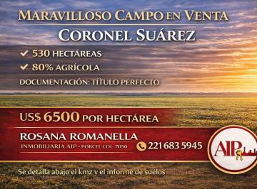 Campo · Campo - Coronel Suarez