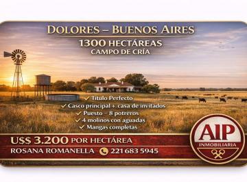 Campo · Campo - Dolores