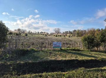 Terreno , Ibarlucea · Ha en Venta - Ibarlucea