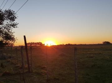 Terreno · 80000ha · Chacra de 8 Ha Sobre Ruta 20