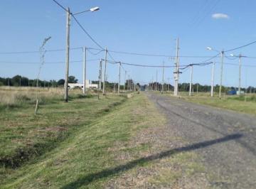 Terreno · 1000m² · Terreno en Venta - 1000 m² - Coronel Brandsen