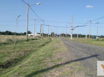 Terreno · 1000m² · Terreno en Venta - 1000 m² - Coronel Brandsen