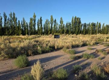 Terreno , San Rafael · Destacado Lote en Excelente Zona de San Rafael