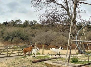 Casa · 40ha · 5 Ambientes · 1 Cochera · Casa Campo en Zona Rural, Río Tercero