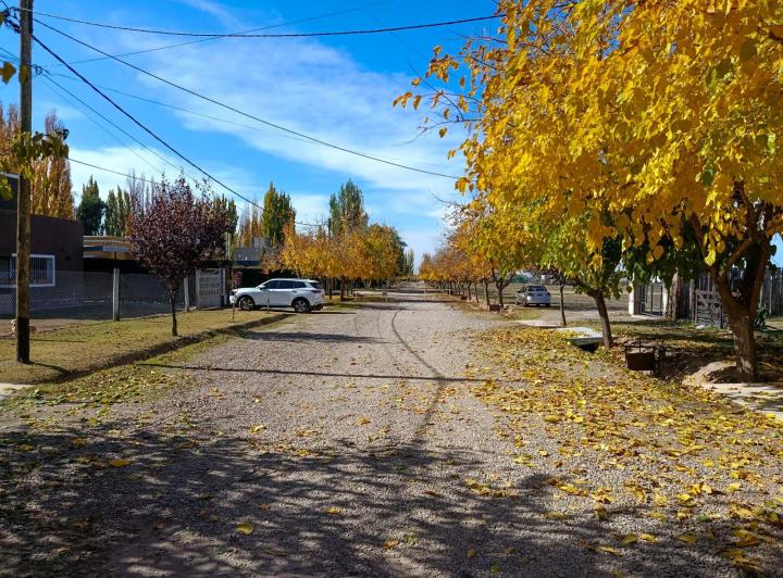 Terreno · 1254m²
