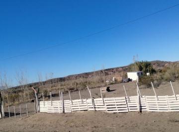Terreno , Añelo · Excelente Terreno de 6000 m² en Alquiler en Álamos de Añelo