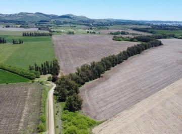Campo · 55ha · Venta Chacra El Solcito 13 Has Tandil