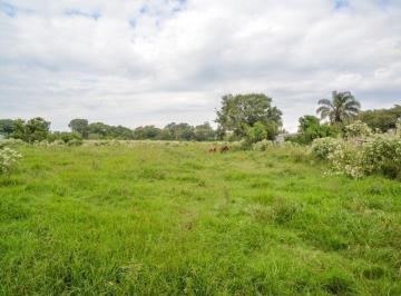 Terreno · 18000m² · Venta de Hectáreas en Sauce Viejo Sobre Ruta 11