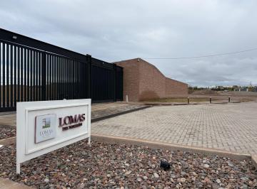 Terreno , Luzuriaga · Vendo Lote 450 m Lomas del Torreón