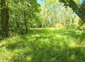 Terreno · 555m² · Lote Venta en Costa del Este Zona de Bosque