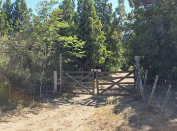 Terreno · 50000m² · Campo C° Saturnino m, Allin Ahogado