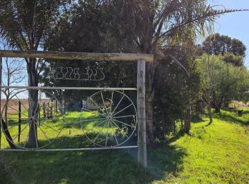 Campo · 70ha · Casa de Campo Frente a Cancha de Polo - 7 Esquinas