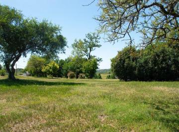Terreno · 1158m² · Venta Lote Posta Carreta, Calamuchita, Cordoba
