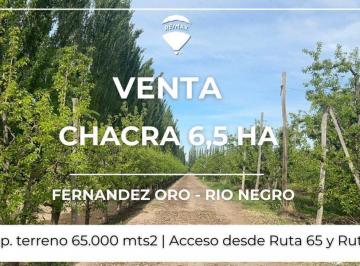Campo · 147ha · Venta Chacra 6,5 Has Fernandez Oro