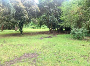 Campo · 550ha · Venta o Permuta - Chacra de 6 Ha en Mercedes