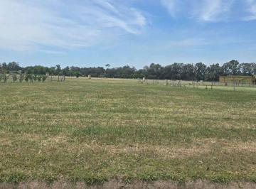 Terreno · 1600m² · Lote de 1600 m² en Sector Consolidado Los Silos