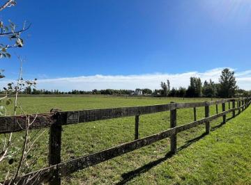 Terreno · 4980m² · Venta Lote Interno Haras El Malacate