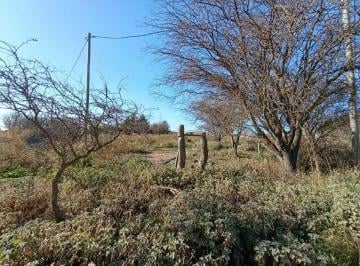 Terreno · 2492m² · Terreno en Cebruno y Zaino. Altos del Payún