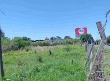 Terreno · 187m² · Venta Lote Palomar