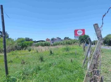 Terreno · 210m² · Venta Lote Palomar