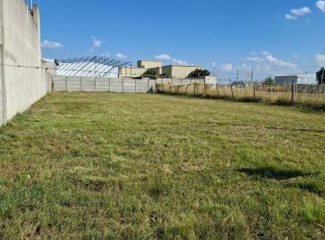 Terreno · 437m² · Lote en Venta en Pehuajo