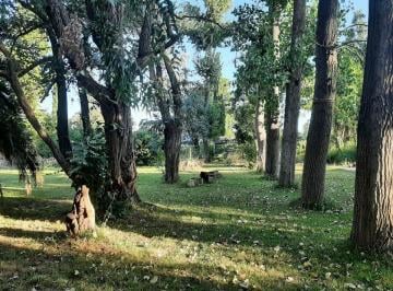 Terreno · 1000m² · Terreno Lote Exaltacion de La Cruz Pque Exaltacion