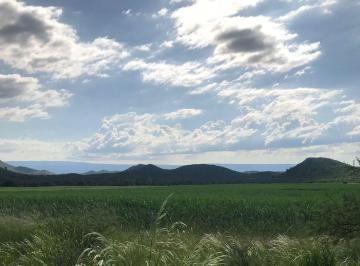 Campo · 669ha · Campo 669 Ha Cañada de Salas Poch Escritura