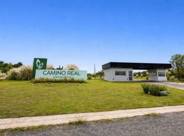 Terreno · 700m² · Venta Terreno 700 m en Camino Real Urbanizacion