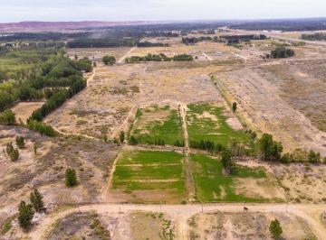 Terreno · 110000m² · Venta de Chacra Apta Desarrollo en China Muerta